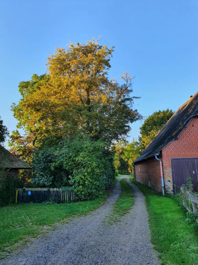 Willa Ostssespitze Riepsdorf Zewnętrze zdjęcie